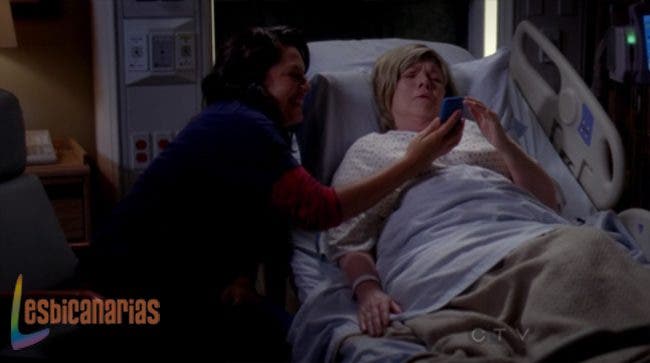 Callie y Arizona 8x08-09