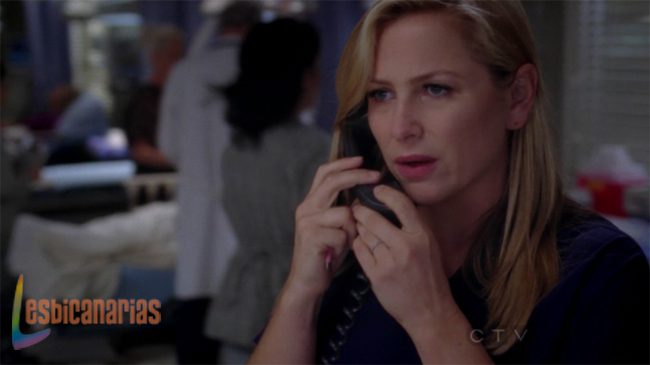 Callie y Arizona 8x09-01