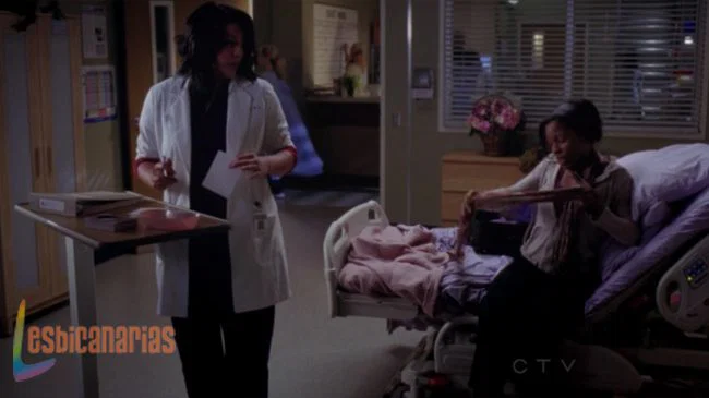 Callie y Arizona 8x09-02