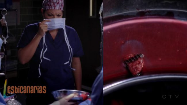 Callie y Arizona 8x09-04