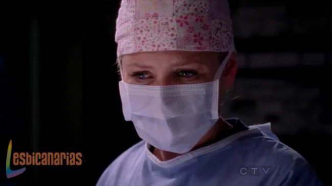 Callie y Arizona 8x09-05