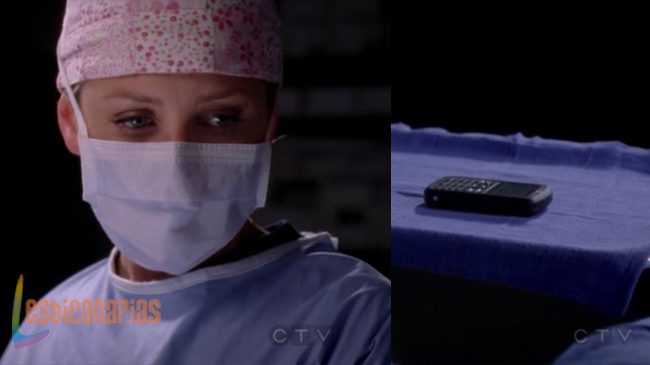 Callie y Arizona 8x09-06