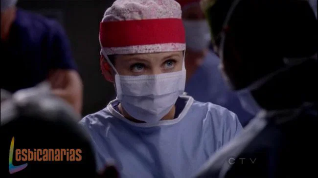 Callie y Arizona 8x11-02