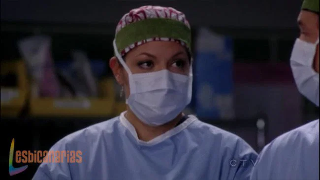 Callie y Arizona 8x11-03