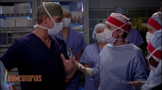 Callie y Arizona 8x11-04
