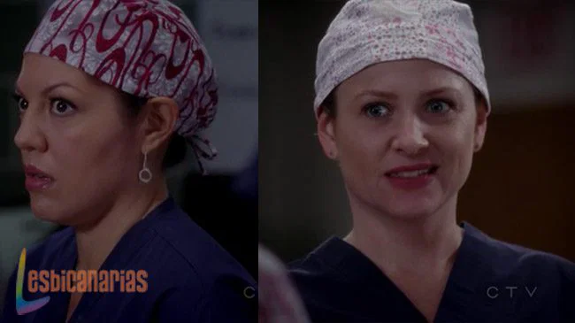 Callie y Arizona 8x11-06