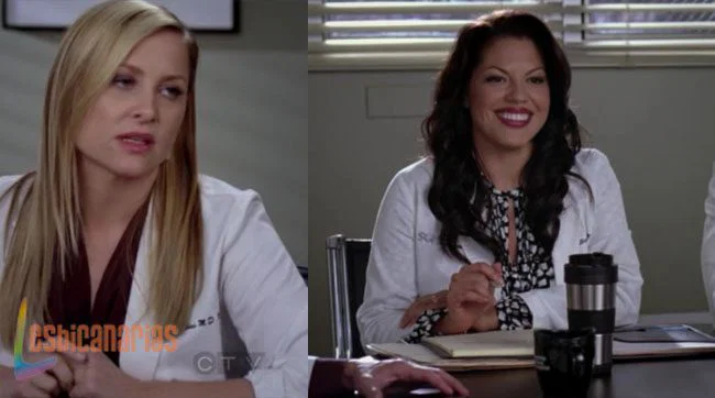 Callie y Arizona 8x13-03