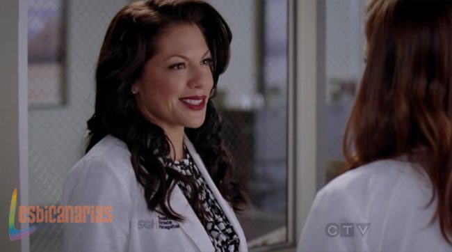 Callie y Arizona 8x13-04