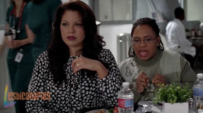 Callie y Arizona 8x13-07