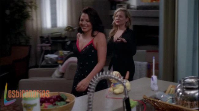 Callie y Arizona 8x14-01