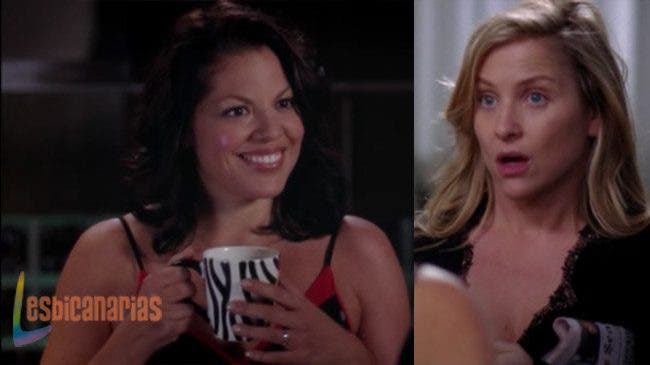 Callie y Arizona 8x14-02