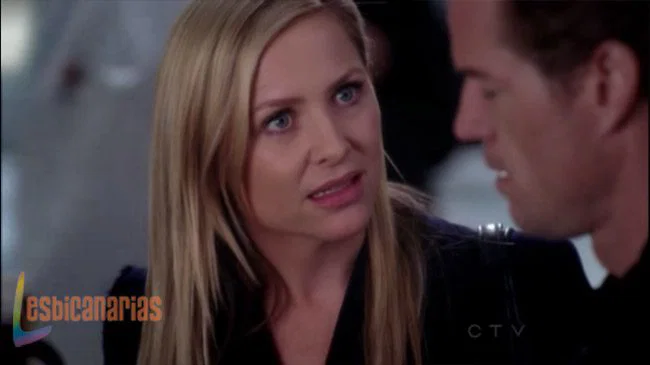 Callie y Arizona 8x14-03