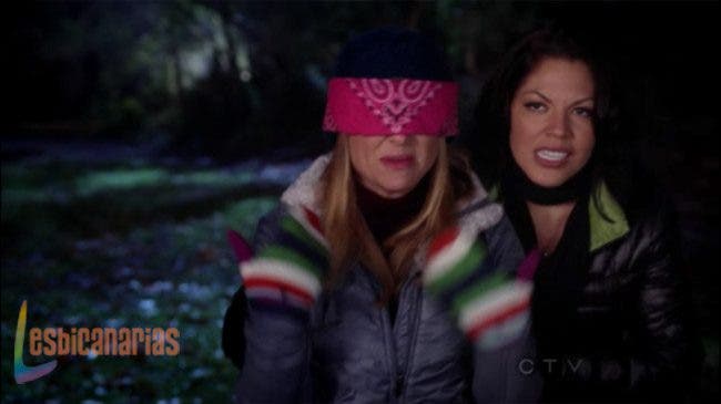 Callie y Arizona 8x14-05
