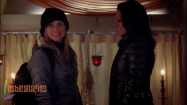 Callie y Arizona 8x14-08