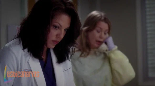 Callie y Arizona 8x16-03
