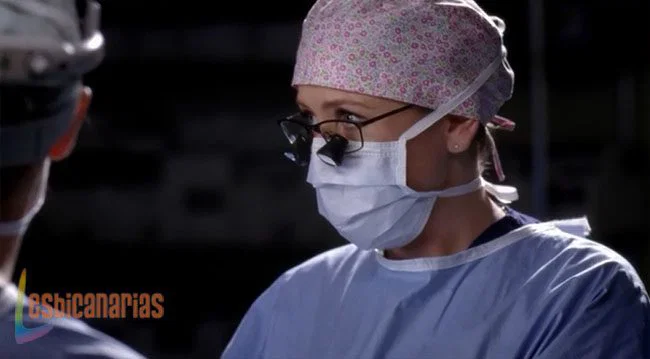 Callie y Arizona 8x17-03
