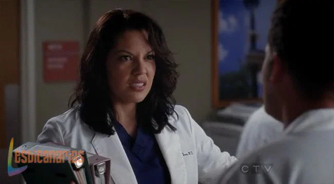 Callie y Arizona 8x17-04