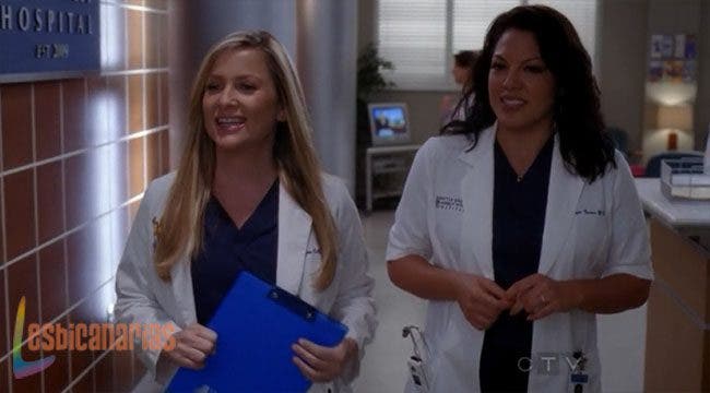 Callie y Arizona 8x18-02