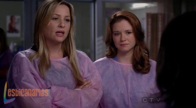 Callie y Arizona 8x18-03