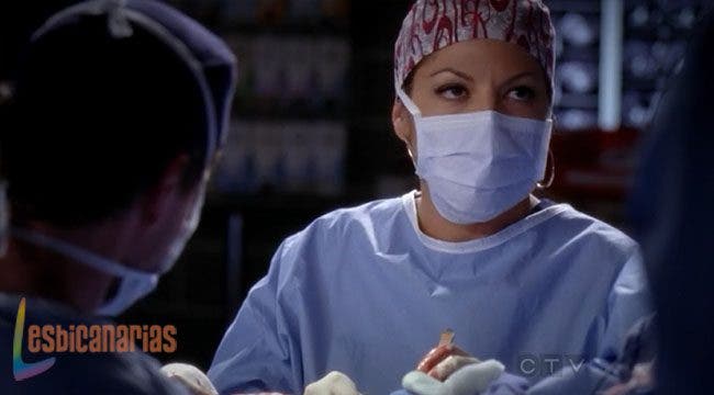 Callie y Arizona 8x18-04