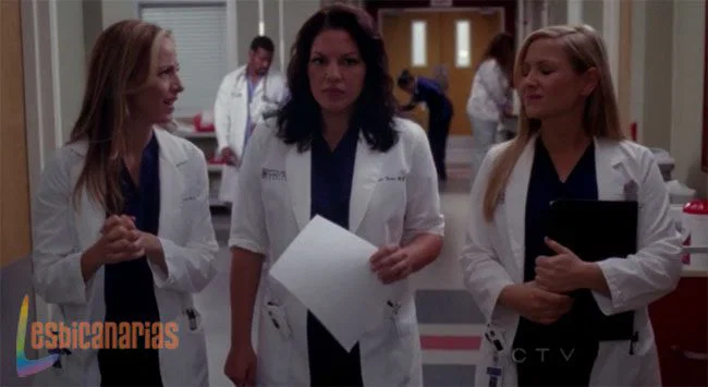 Callie y Arizona 8x19-01