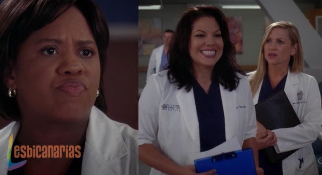 Callie y Arizona 8x19-02