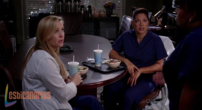 Callie y Arizona 8x19-03