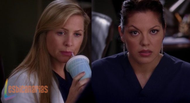 Callie y Arizona 8x19-04