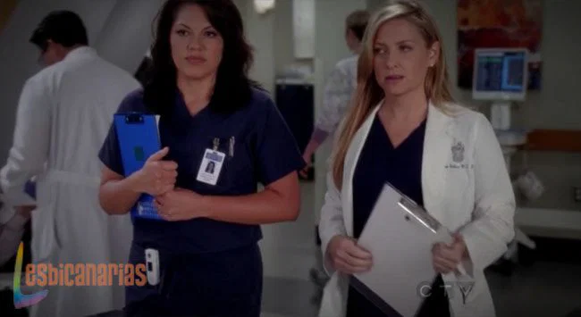 Callie y Arizona 8x19-05