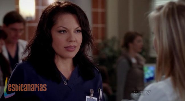 Callie y Arizona 8x19-06