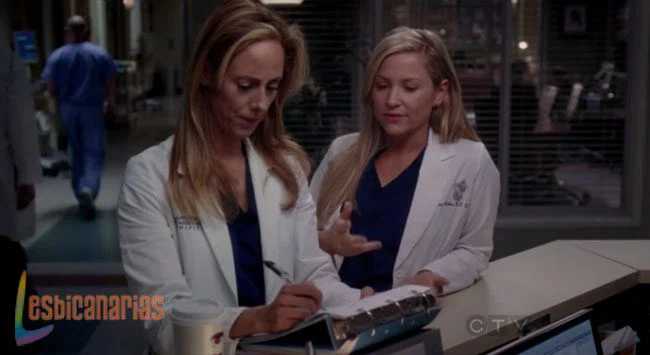 Callie y Arizona 8x19-08