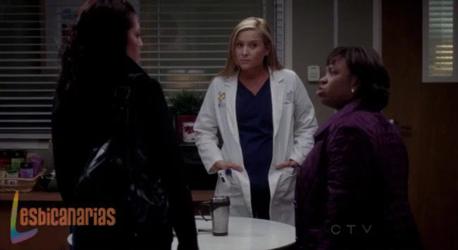 Callie y Arizona 8x19-09