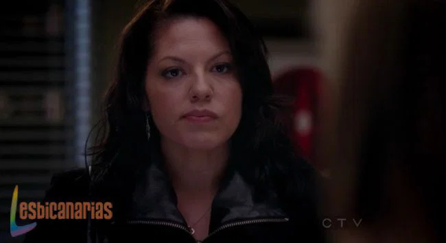 Callie y Arizona 8x19-10
