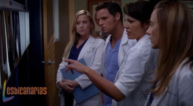 Callie y Arizona 8x20-02