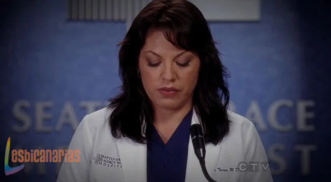 Callie y Arizona 8x20-03
