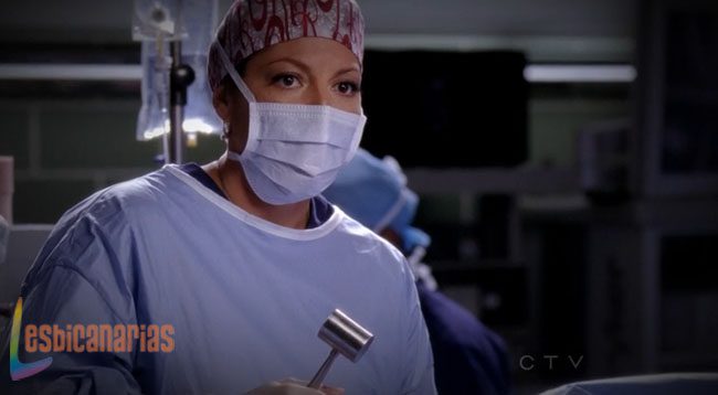 Callie y Arizona 8x20-04