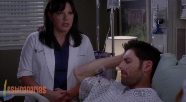 Callie y Arizona 8x23-01