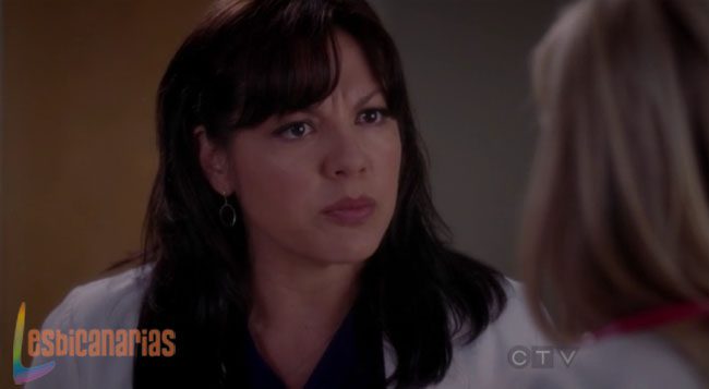 Callie y Arizona 8x23-02