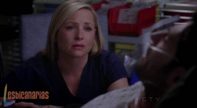 Callie y Arizona 8x23-05