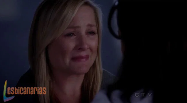 Callie y Arizona 8x23-06