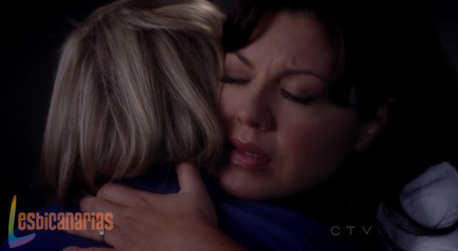 Callie y Arizona 8x23-07