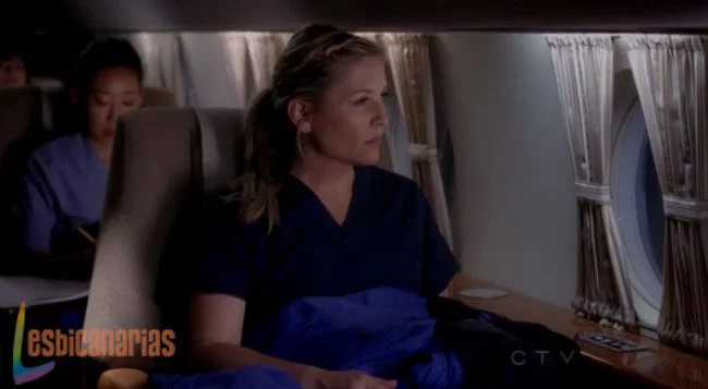Callie y Arizona 8x23-09