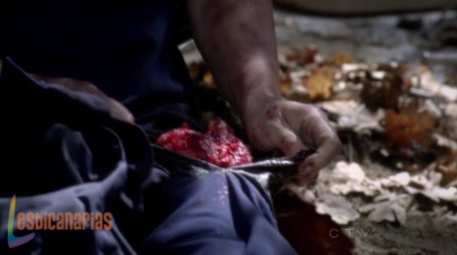 Callie y Arizona 8x24-02