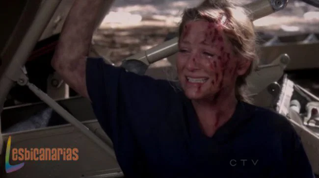 Callie y Arizona 8x24-03