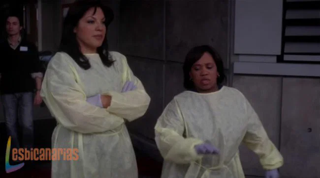 Callie y Arizona 8x24-04