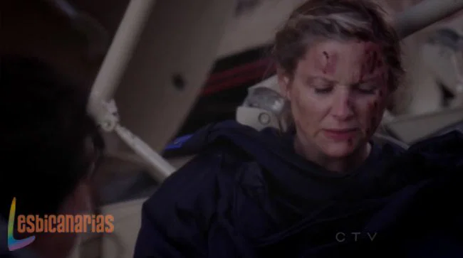 Callie y Arizona 8x24-05