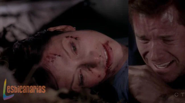 Callie y Arizona 8x24-06