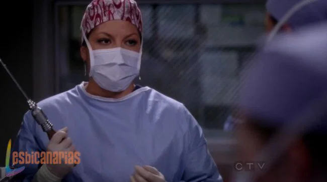 Callie y Arizona 8x24-09