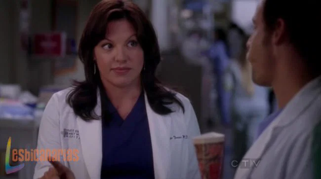Callie y Arizona 8x24-10
