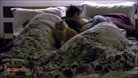 The Real L Word: resumen de episodio 3&times;04